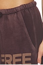 view 6 of 6 Sunfades Pocket Sweatpant in Chocolate Rabbit