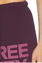 view 6 of 6 Large Sweatpant in Bendol