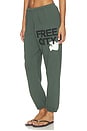 view 1 of 6 PANTALON SWEAT LARGE FREECITY in Surplus Green & Cream