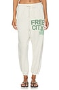 view 1 of 6 Large Pocket Sweatpant in Heatheroats Green