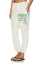 view 4 of 6 Large Pocket Sweatpant in Heatheroats Green