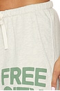 view 7 of 6 Large Pocket Sweatpant in Heatheroats Green