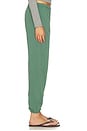 view 2 of 6 Large Sweatpant in Eatgreen