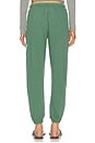 view 4 of 6 Large Sweatpant in Eatgreen