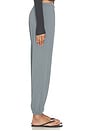 view 2 of 6 Large Sweatpant in Grey
