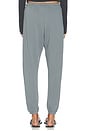 view 4 of 6 Large Sweatpant in Grey