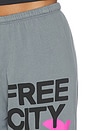 view 6 of 6 Large Sweatpant in Grey