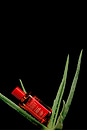 view 7 of 9 Mezcal Chocolat Eau De Parfum in 