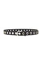 view 1 of 3 Rebecca Belt in Black Calf With Mixed Grommets