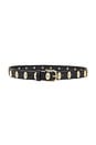 view 1 of 3 Rebecca Belt in Black Calf With Gold Oval Studs
