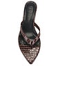 view 4 of 5 Ginza Thong Slipper in Brown Croc