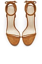 view 4 of 4 Barely There Suede Lace Up Heel in Tobacco