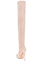 view 3 of 5 T21 Classic Over the Knee Boot in Nude Suede