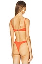view 3 of 4 Gabriel Bikini Top in Campari