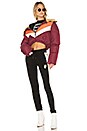 view 5 of 5 BLOUSON in Tawny Port