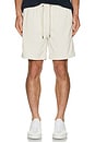 view 4 of 5 The Wilder Stretch Corduroy Shorts in Stone