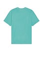view 2 of 3 The Saltaire Graphic Tee in Antigua Sand Beach Daze