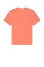 view 2 of 4 The Saltaire Tee in Coral