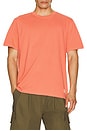 view 3 of 4 The Saltaire Tee in Coral