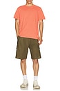 view 4 of 4 The Saltaire Tee in Coral