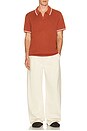 view 3 of 4 Neptune Seawool Sweater Polo in Washed Red