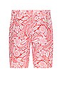 view 2 of 4 the Anchor Swim Shorts in Red Hawaiian