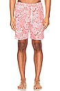 view 4 of 4 the Anchor Swim Shorts in Red Hawaiian