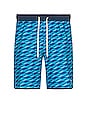 view 1 of 4 Anchor Swim Shorts in Blue Art Waves