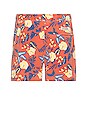 view 2 of 3 The Bungalow Swim Shorts in Red Tropics