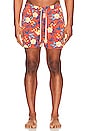 view 3 of 3 The Bungalow Swim Shorts in Red Tropics