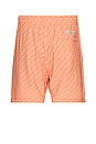 view 2 of 3 the Bayberry Swim Shorts in Orange Sea Squares