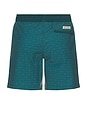 view 2 of 3 The Bayberry Swim Trunks in Green Waves