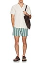 view 5 of 5 The Bungalow Swim Trunks in Green Sardine