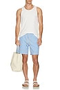 view 5 of 5 The Bayberry Swim Trunks in Blue Tiles