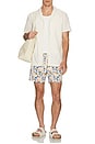 view 5 of 5 The Bungalow Swim Trunks in Beach Sun Tile