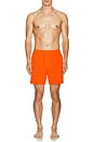 view 6 of 6 Anchor Swim Shorts in Neon Orange