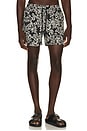 view 1 of 5 MAILLOT DE BAIN in Black Hibiscus