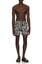view 3 of 5 MAILLOT DE BAIN in Black Hibiscus