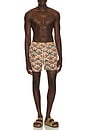 view 3 of 5 MAILLOT DE BAIN in Checkered Palms