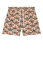 view 4 of 5 MAILLOT DE BAIN in Checkered Palms