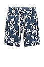 view 1 of 3 The Bayberry Trunk in Navy Floral
