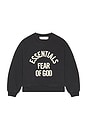 view 1 of 2 SUDADERA CAMPUS 90'S in Faded Black