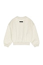 view 2 of 2 Kids Classic Crewneck Sweatshirt in Oatmeal Heather & Light Heather