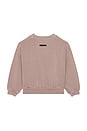 view 2 of 2 Kids Campus 90's Crewneck Sweatshirt in Faded Mauve