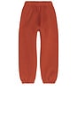 view 2 of 2 Kids Essential Sweatpant in Crimson