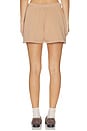 view 4 of 6 Classic Fit Short in Washed Ginger