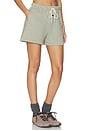view 2 of 6 Classic Fit Short in Washed Seal Heather