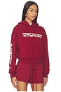 view 3 of 6 Classic Hoodie in Crimson