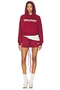 view 6 of 6 Classic Hoodie in Crimson