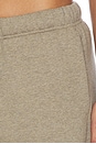 view 6 of 6 Vintage Sweatpant in Homestead Heather